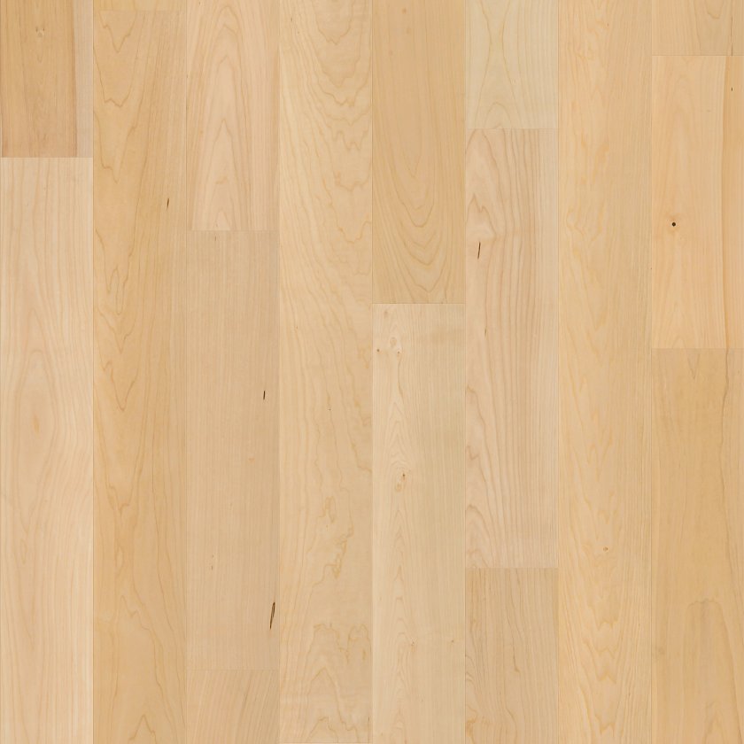 Paragon Maple