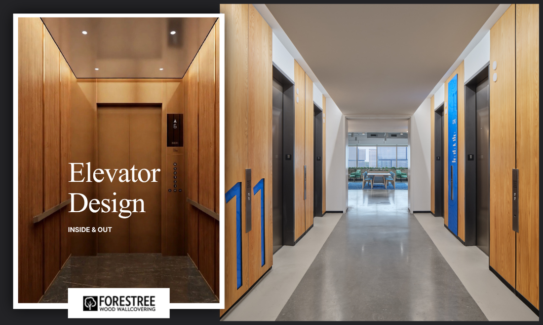 Elevate Your Next Project with Forestree Wood Wallcovering