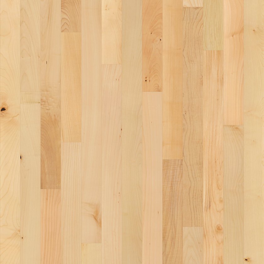 Paragon Maple
