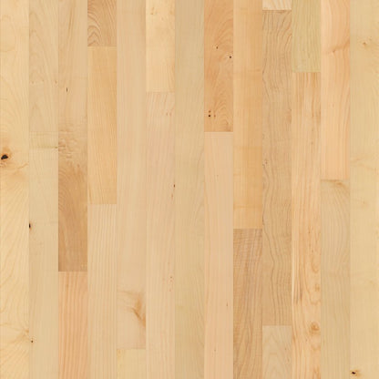 Paragon Maple