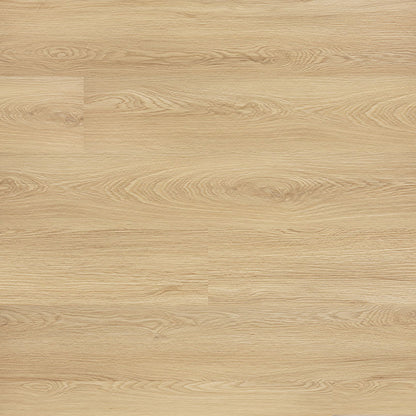 Spec 5 LVP