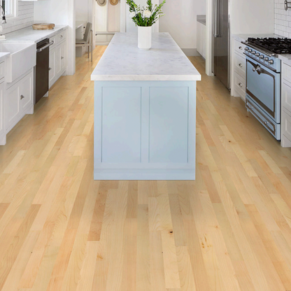 Paragon Maple