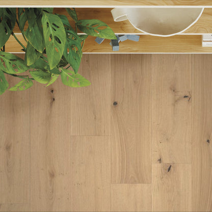 Legacy Oak