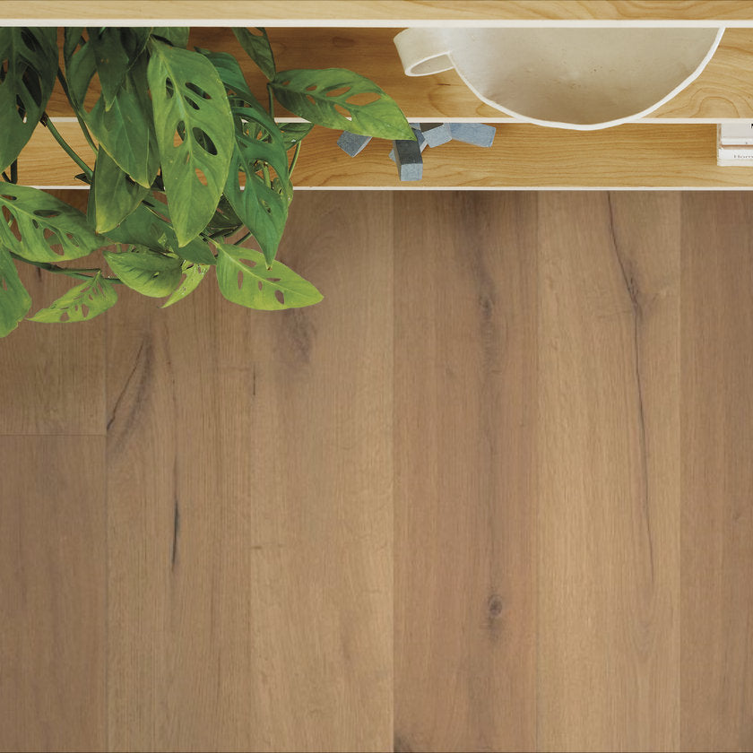 Legacy Oak