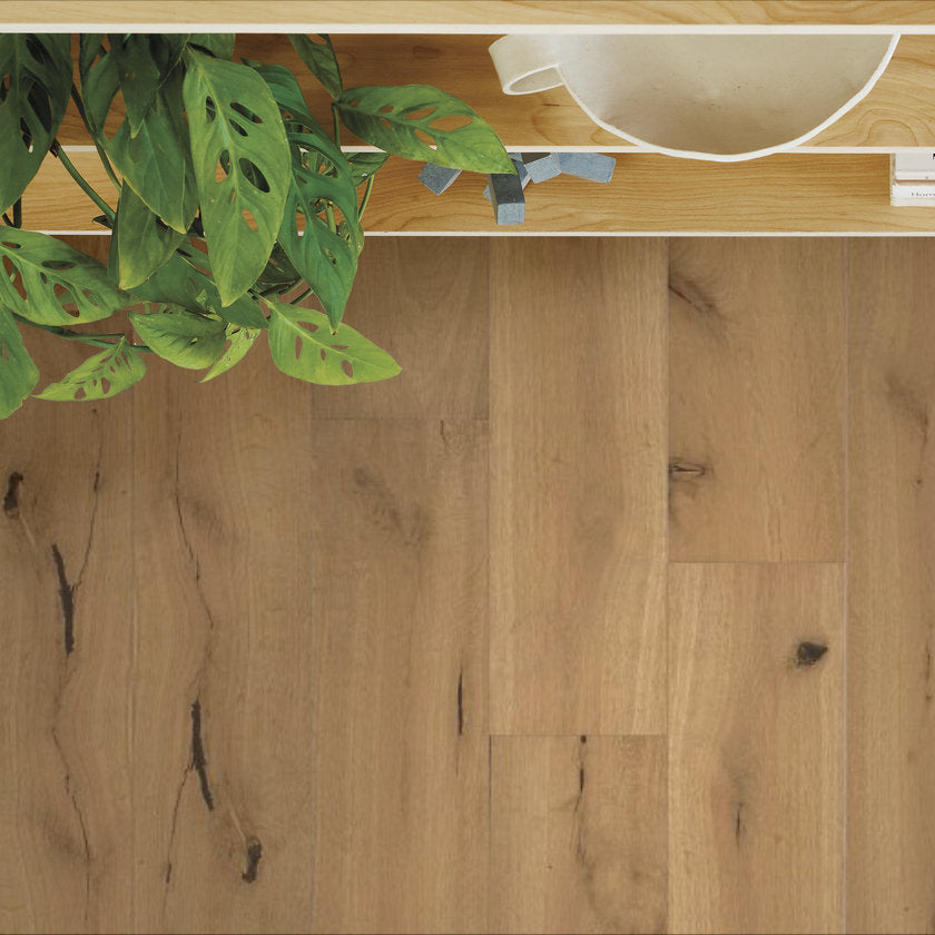 Legacy Oak