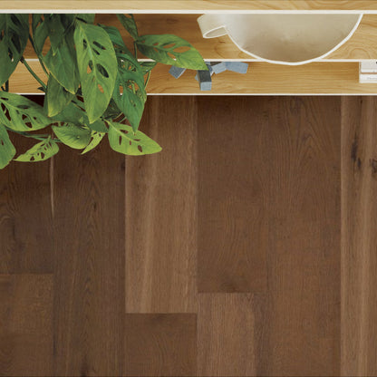 Legacy Oak